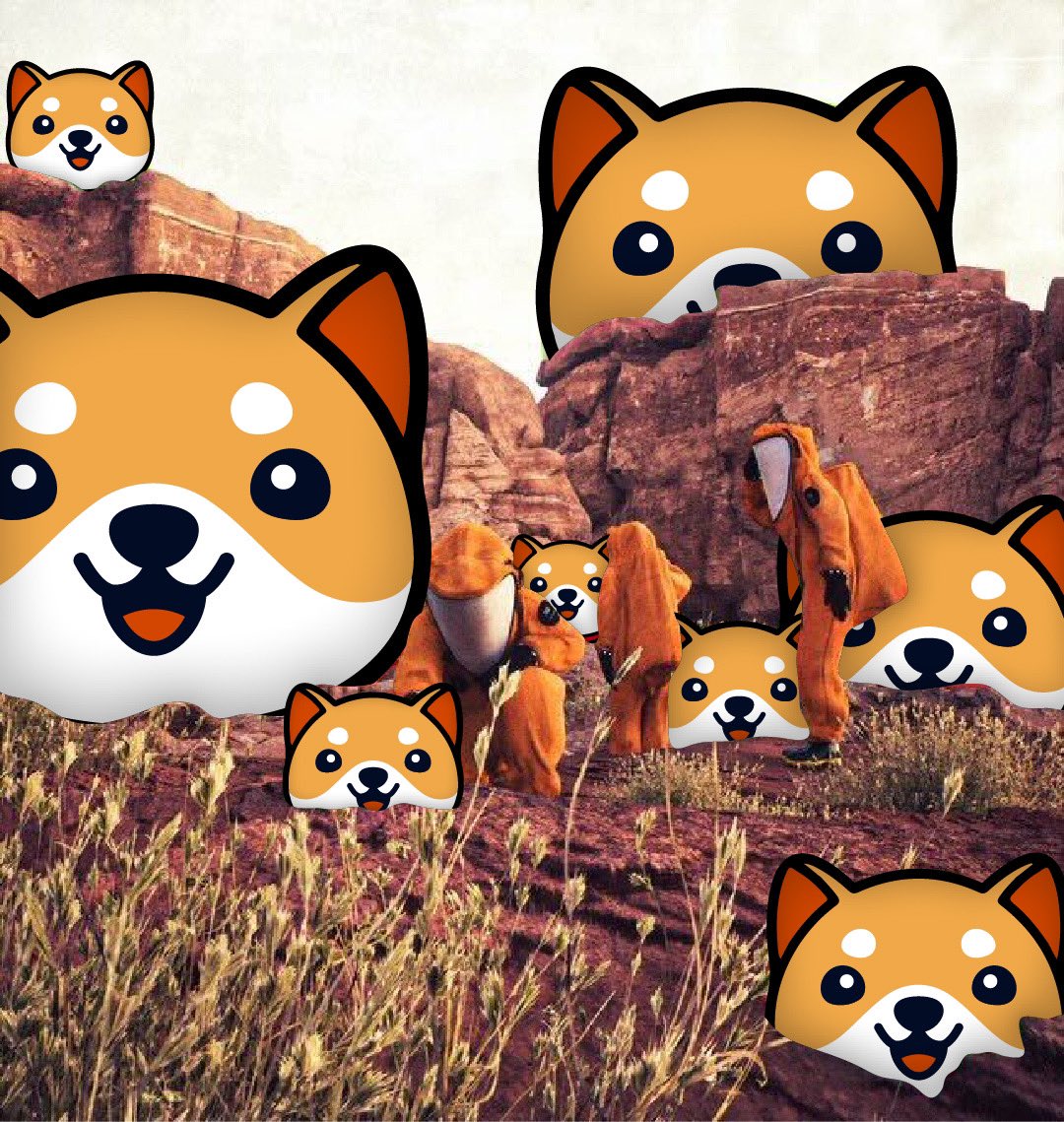 Baby Doge tweet media