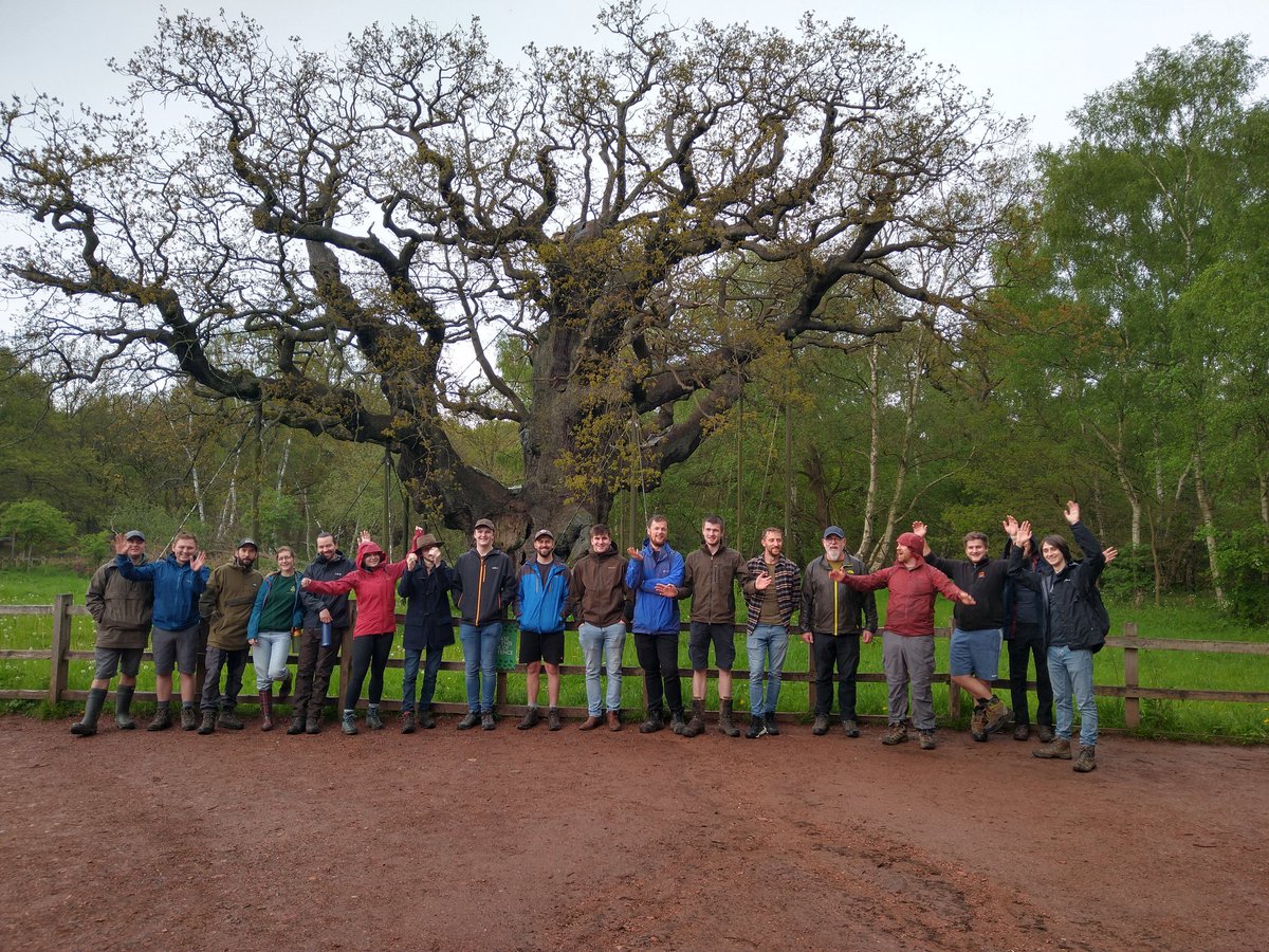 NSF Lowland Study tour 2023 day 2. Thank you to Michael and Tom from Nottingham Wildlife Trust for showing us around the ancient woods of Threswell. Management for birds, door mice and coppicing. Quick evening visit to Major Oak. @UoCNSF @CumbriaUni @nottsbatman