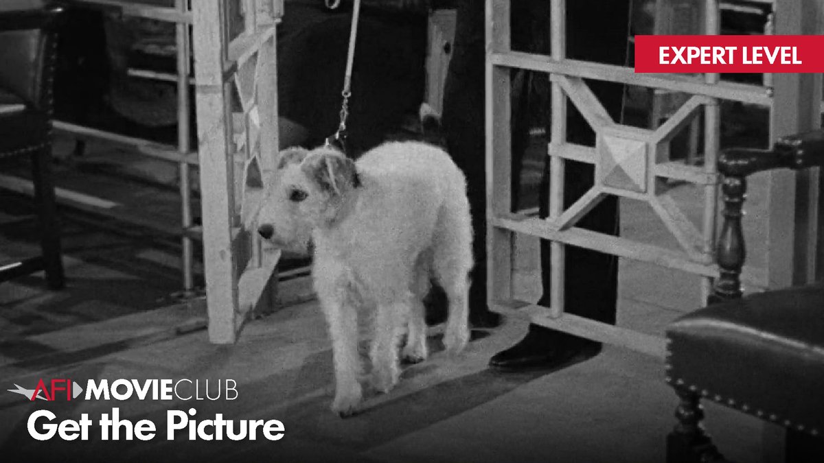 Can you guess today's film from just one image? Click to play #GetThePicture and select the right answer from five choices! ➡️afi.com/movieclub/