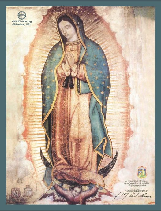 ORACIÓN POR MI MAMÁ.
Las madres siempre dan,
¿por qué no le haces hoy tú, con un regalo especial?
Rezar por ella.
Por sus cuidados desde que me llevó en sus entrañas, de día y de noche, por su bondad, su ternura, su desinterés, su entrega total, quisiera darte hoy gracias, Señor