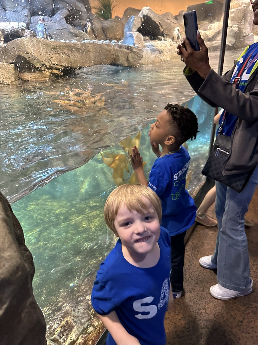 abbytriple's tweet photo. We had so much fun at the aquarium yesterday! Thank you to all our coffee cart customers, who made our dream possible! #ultimatelearningexperience https://t.co/HJ2W7tznCV