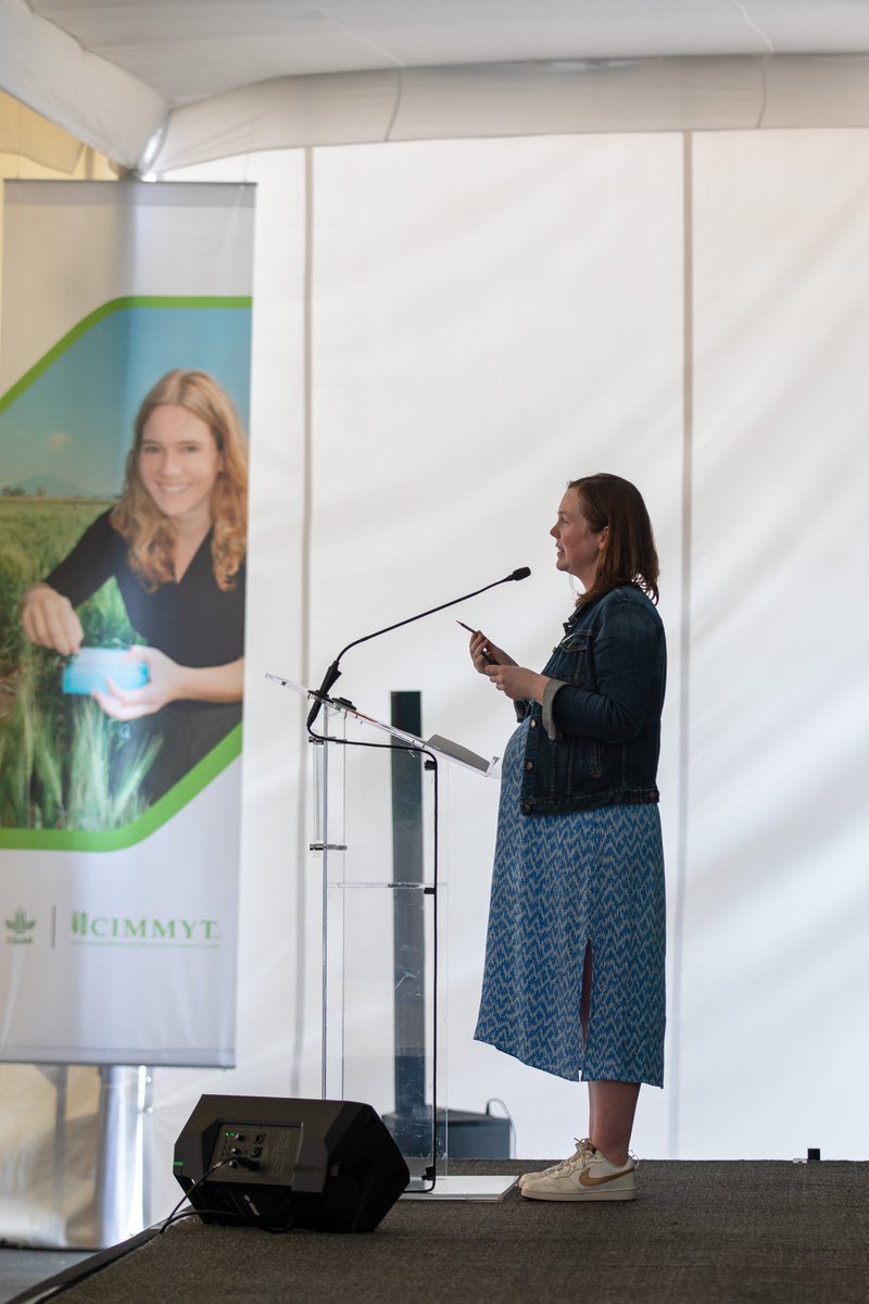 A true honor to receive the 2023 Borlaug CAST Communication Award @CASTagScience #2023BCCA It’s a privilege to lead an inspiring team improving food security, to champion equity & an end to discrimination & to have a platform @CGIAR to share it all! cast-science.org/alison-bentley…