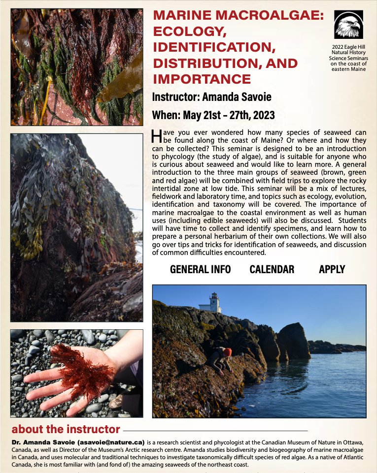 I'm SO excited for my upcoming #seaweed class at Eagle Hill! There are still spots available so send me a message if you are curious and want to learn more.