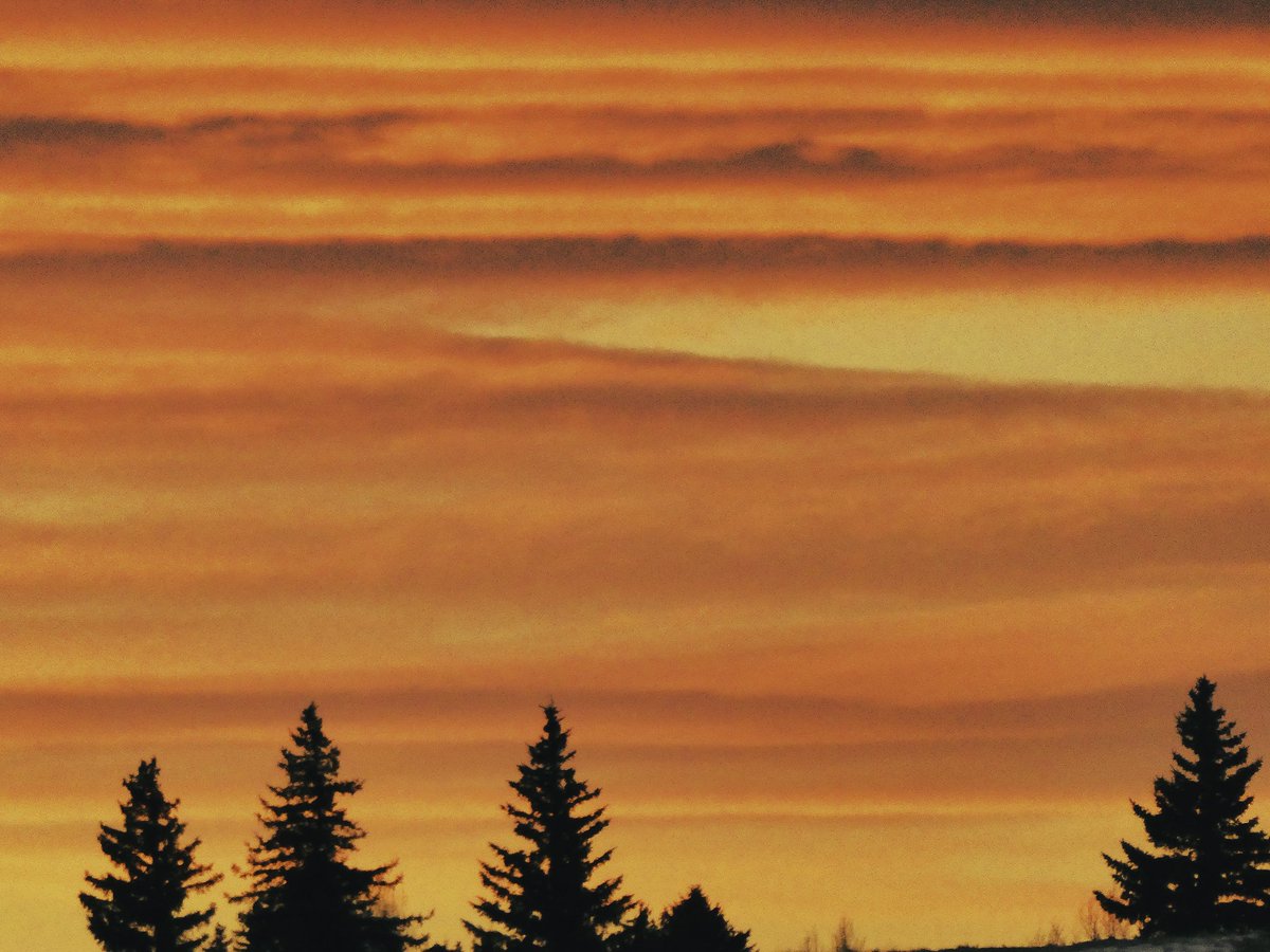 John Park tweet media