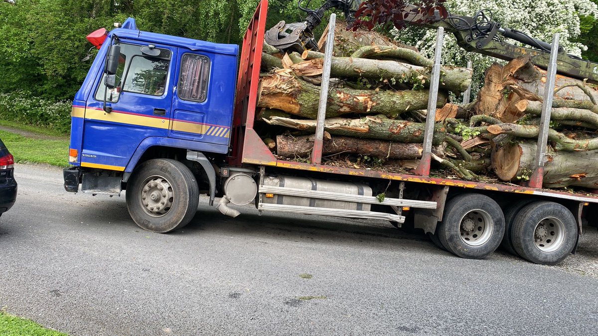 hawkswithana's tweet photo. @RozannaPurcell wondering if you could kindly share for press - 100s of beautiful mature trees being needlessly demolished by developers at #RyevaleHouse. No permits or legal reason and nobody stopping them!! https://t.co/jYTpaX28Pn
