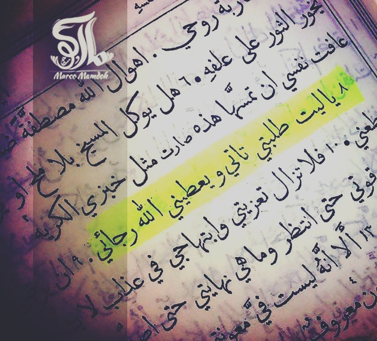 يا ليت 🤲🏽