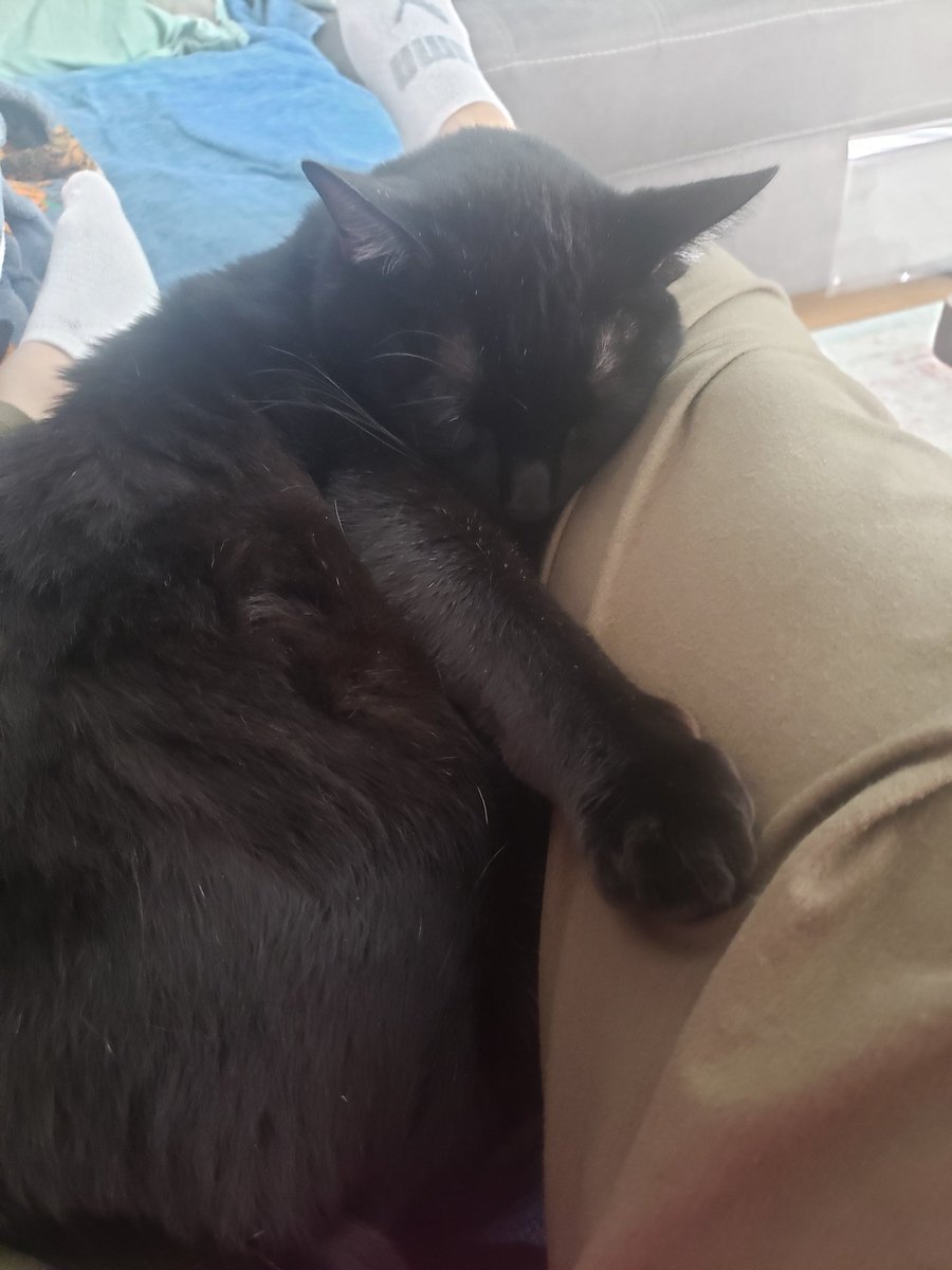 lmno1984's tweet photo. Legitimate reason to stay on the sofa all day. https://t.co/2N7GvdleWS