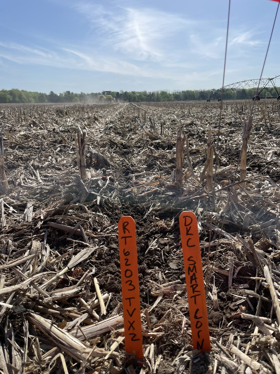 MSUMann's tweet image. Smart corn trial in the ground today! Excited to keep an eye on it throughout the growing season! Exciting things on the horizon for @Asgrow_DEKALB @DKCAS_MI #Bayer4MI #WinningHasRoots #Preceon