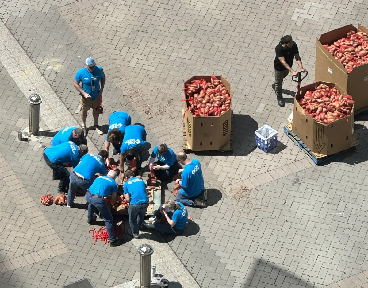 SarahBWray's tweet photo. The @DukeEnergy team made sure to get every single sweet potato packaged, working on the last box as @FoodBankCENC folks  loaded up the 40k lbs of taters. #YamJam2023   Thank you all of the volunteers today. https://t.co/XwUhBqCu1O