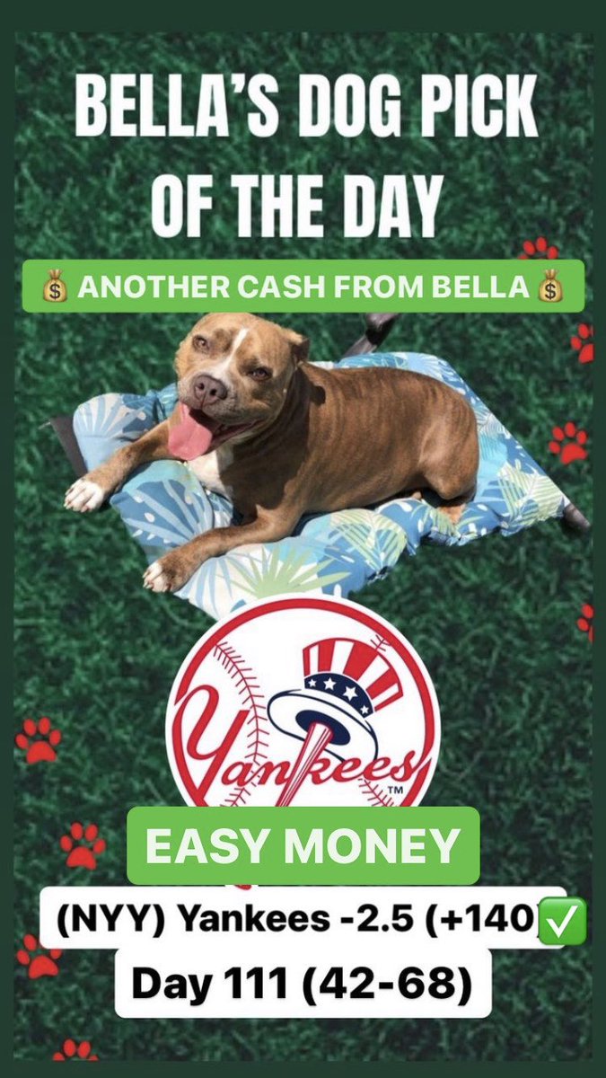 TheLocksOTD's tweet photo. 🐶BELLA'S DOG LOCK OTD🐶
💰EASY CASH💰
‼️Overall Units +1185‼️
🔥BELLA IS ON FIRE🔥
⚾️(NYY) Yankees -2.5 (+140)✅
#MLB #MLBPicks #Yankees #NYY #NY #NewYork #Betting #GamblingTwitter #Yanks #AaronJudge #Bella #Dog #Dogs #DogPicks #DogBets https://t.co/muUR2OiDEm