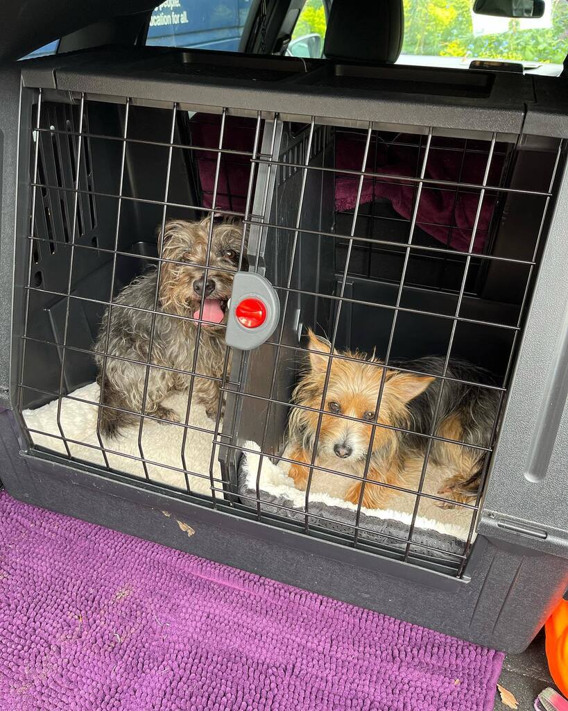 Loaded up and ready to travel home 🚗