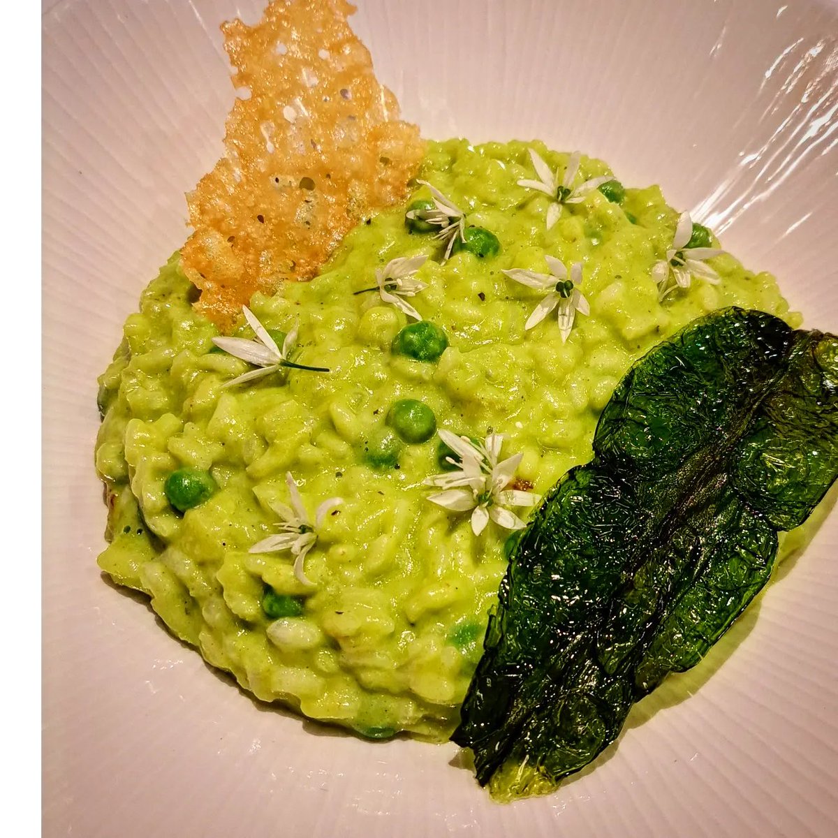 Billy F. K. Howorth tweet media