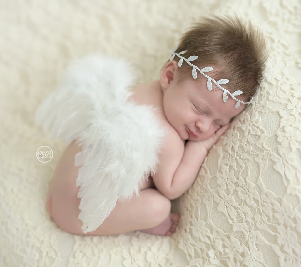 sarahbeebephoto's tweet photo. https://t.co/xkquX1PCQQ