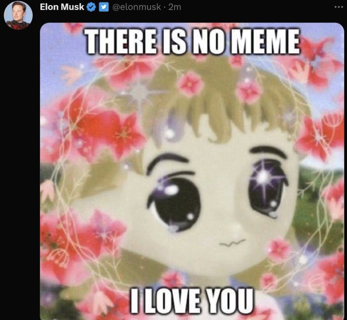 简单介绍什么是Milady？Elon Musk为什么转发它？争议是什么，美学是什么，特殊的风格和现状和未来。