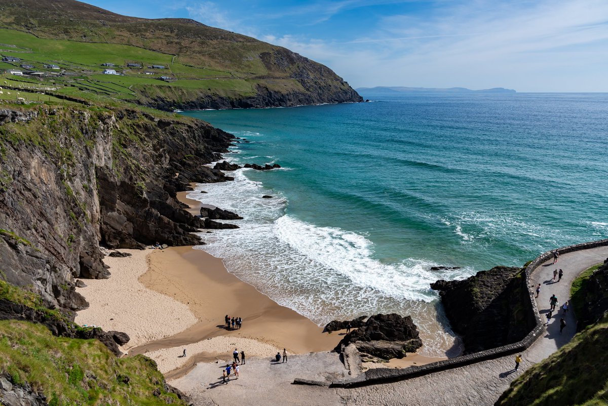 Emma McArdle | Ireland 🇮🇪 tweet media