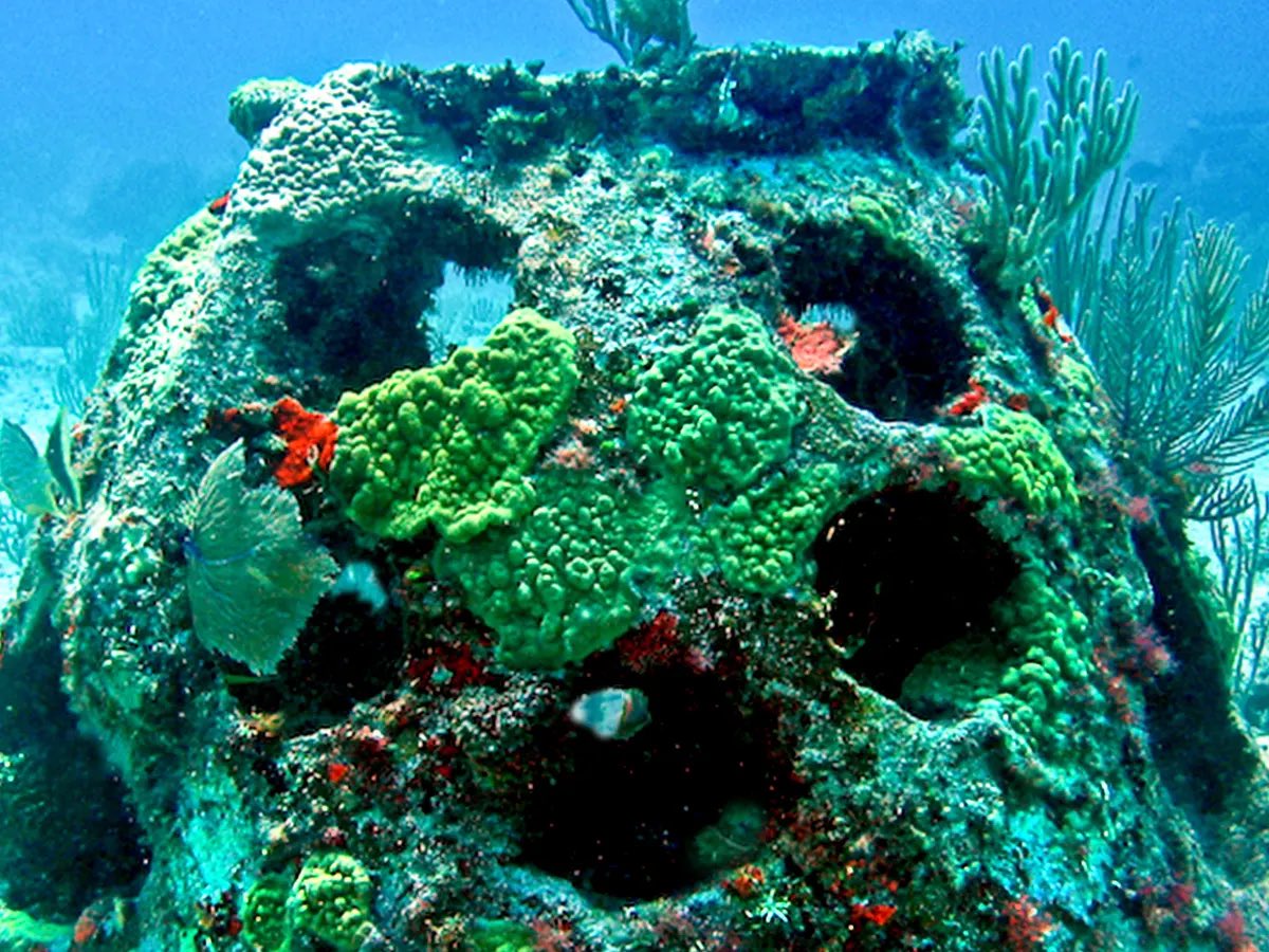 OrderoftheGoodDeath tweet media