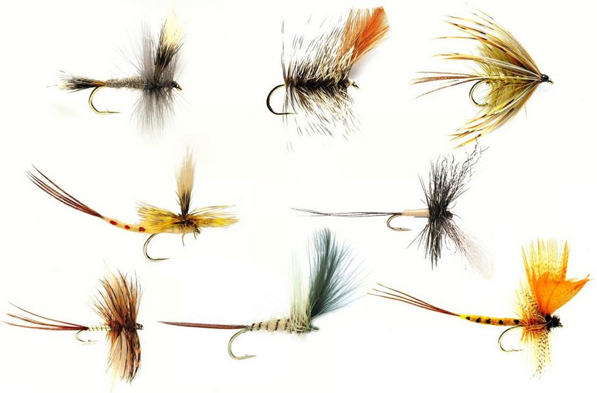 FFTCOUK's tweet photo. #fullingmill #flyfishing #flyselection #mayflies
FULLING MILL MUST HAVE MAYFLIES SELECTION
9 of Fulling Mill's most popular Mayflies.
Perfect for trout feeding on May's at any stage of the hatch.
HERE >>>https://t.co/0QtjSNqPq8 https://t.co/TqGbu6jTV5