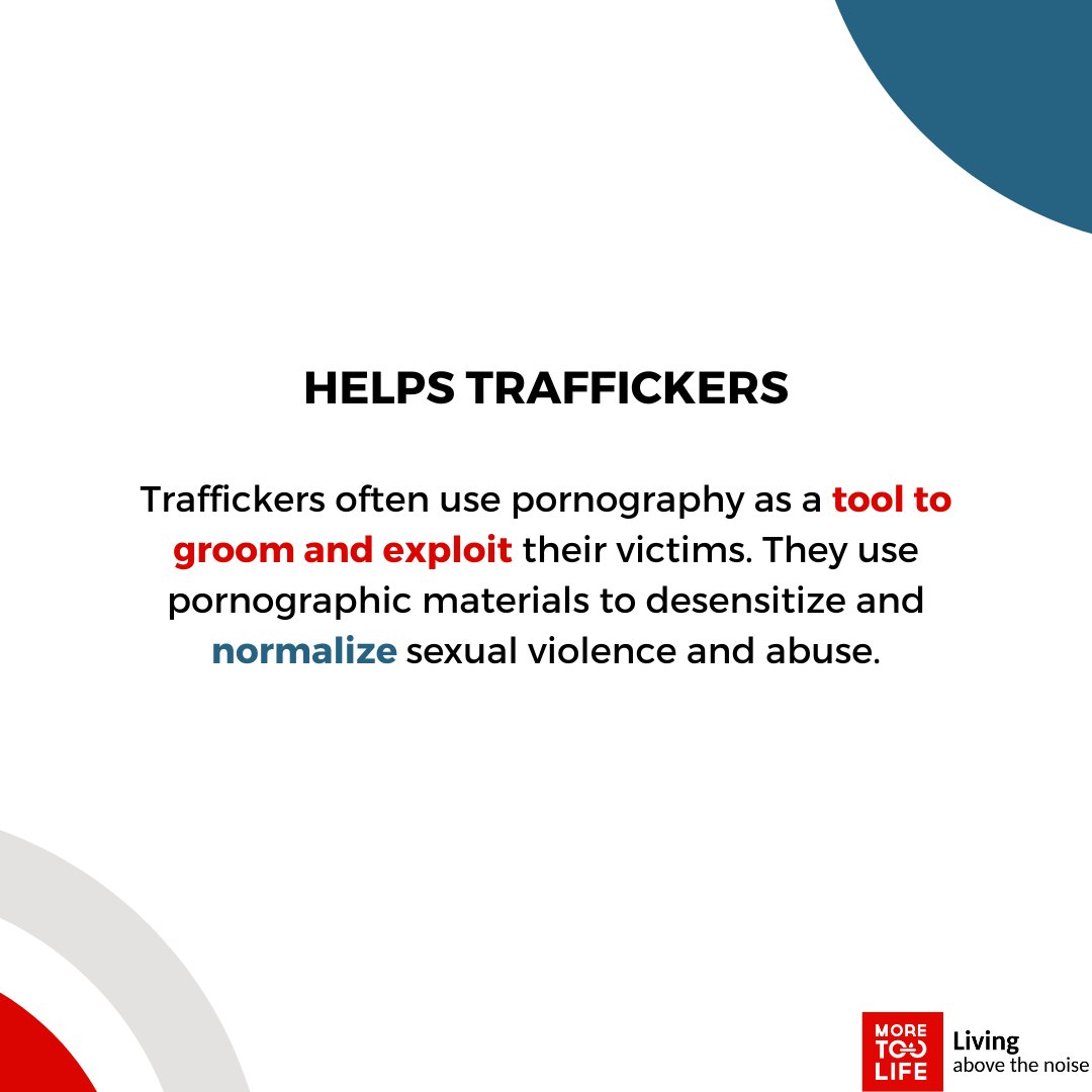 @realmoretoolife tweet media