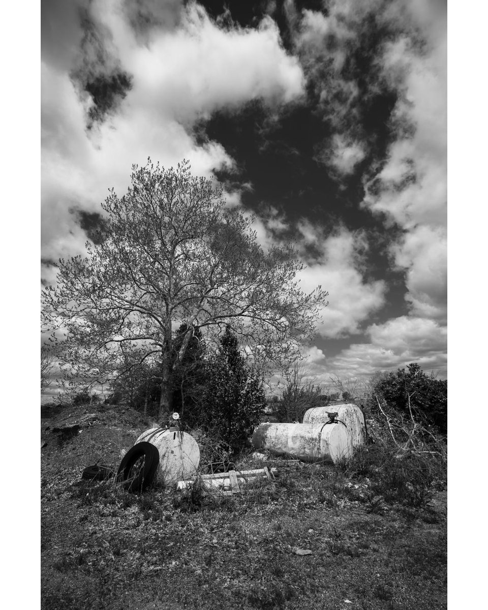 notleyhawkins's tweet photo. Discarded ammonia tanks in Macon County, Missouri. Photography by Notley Hawkins. #missouri #midwest #rural #abandoned #forsaken #tanks #entropy #discarded #ammoniatanks #april #afternoon #trees #wideangle #canonr5 #ruralex #ruralexploration #notleyhawkins https://t.co/DJs0Z3cAqW
