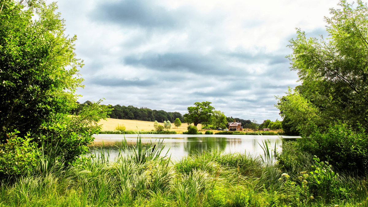 Panshanger tweet media