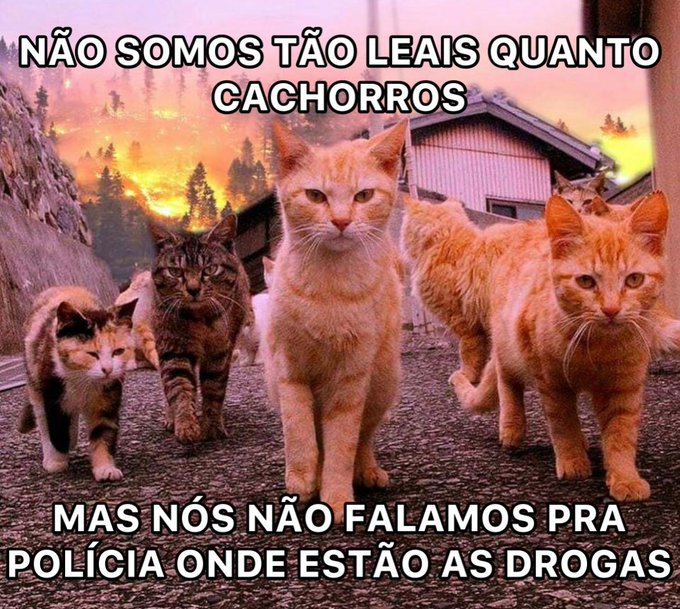 diojorange's tweet photo. https://t.co/DCyuZHBHjG