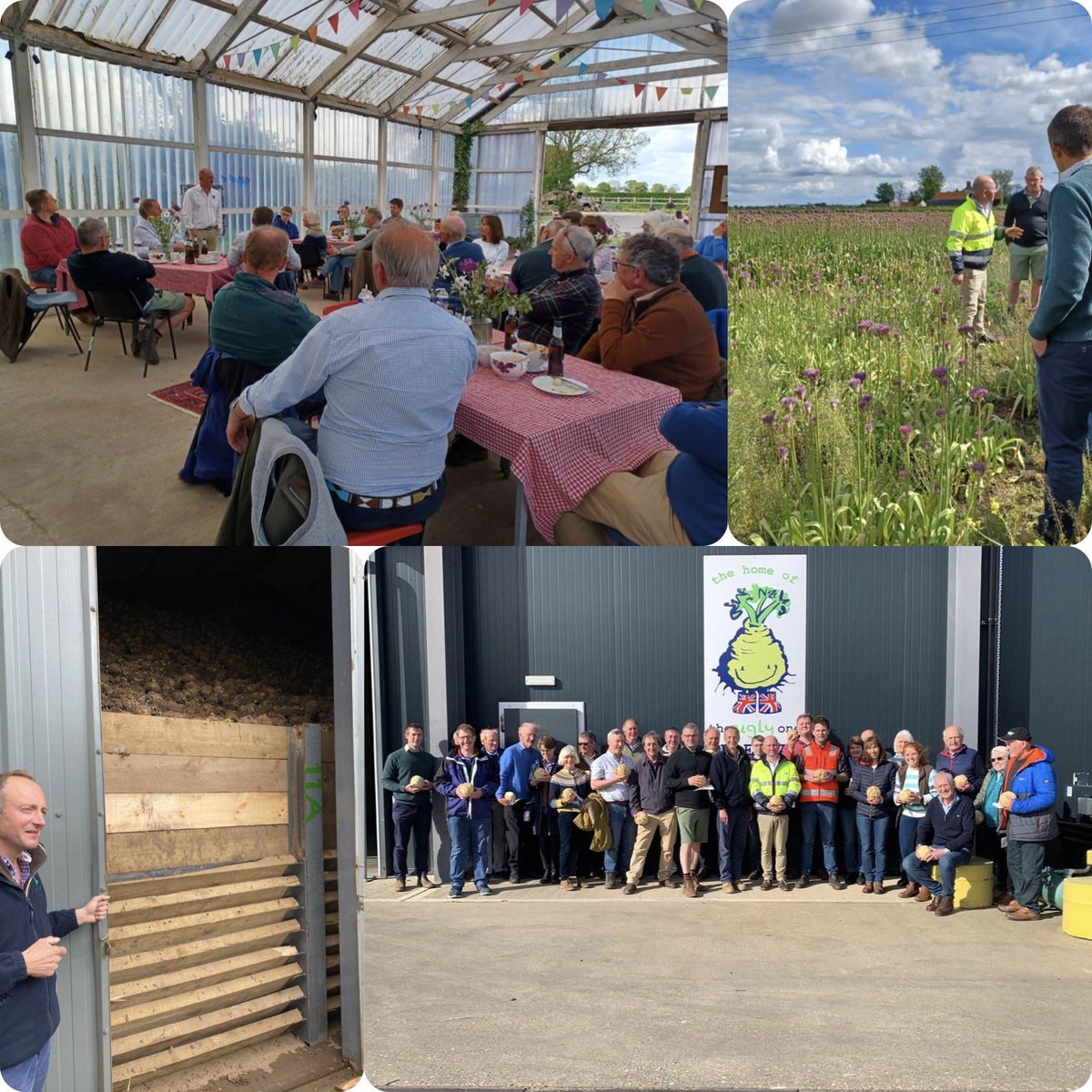 Great first day of our NFU Hfds study tour - visiting <a href="/NaylorFlowers/">NAYLOR FLOWERS Ltd</a> &amp; leading producers of UK celeriac Jack Buck Farms!