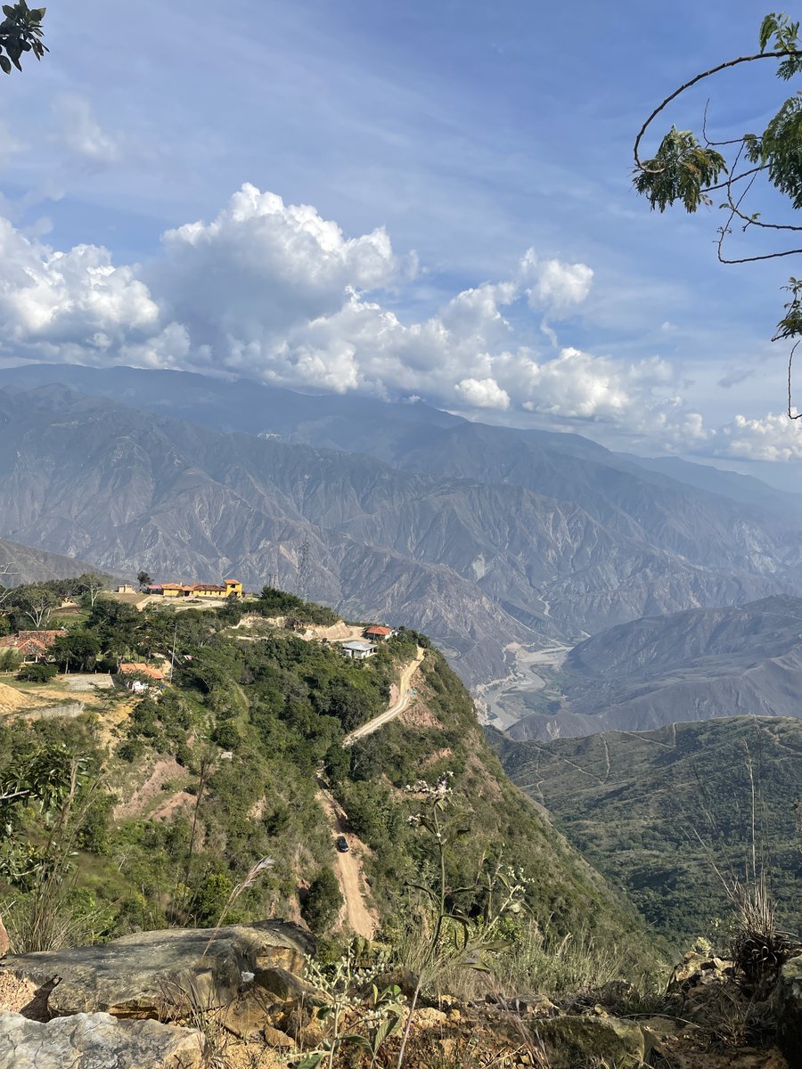 mariadcastilloc's tweet image. Physically working on my thesis but mentally in a far far away place 🫠 🥹