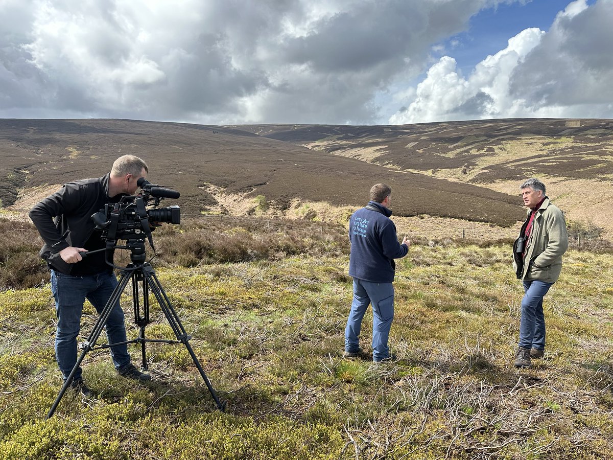 alex thomson (@alextomo) on Twitter photo 2023-05-10 16:57:13 Geltsdale in the N Pennines - exclusive new research connecting killing of Hen Harriers with grouse moors @Channel4News Geltsdale in the N Pennines - exclusive new research connecting killing of Hen Harriers with grouse moors @Channel4News