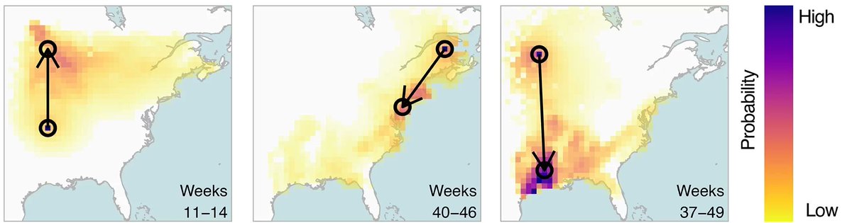 psc_live's tweet photo. Scientists at Cornell and University of Massachusetts Amherst used #Bridges2 to polish their bird migratory database, making way for AI to predict bird travel patterns. Read more: https://t.co/LEb15N4sQT #hpc #artificalintelligence #ornithology https://t.co/4Lun7PGhdW