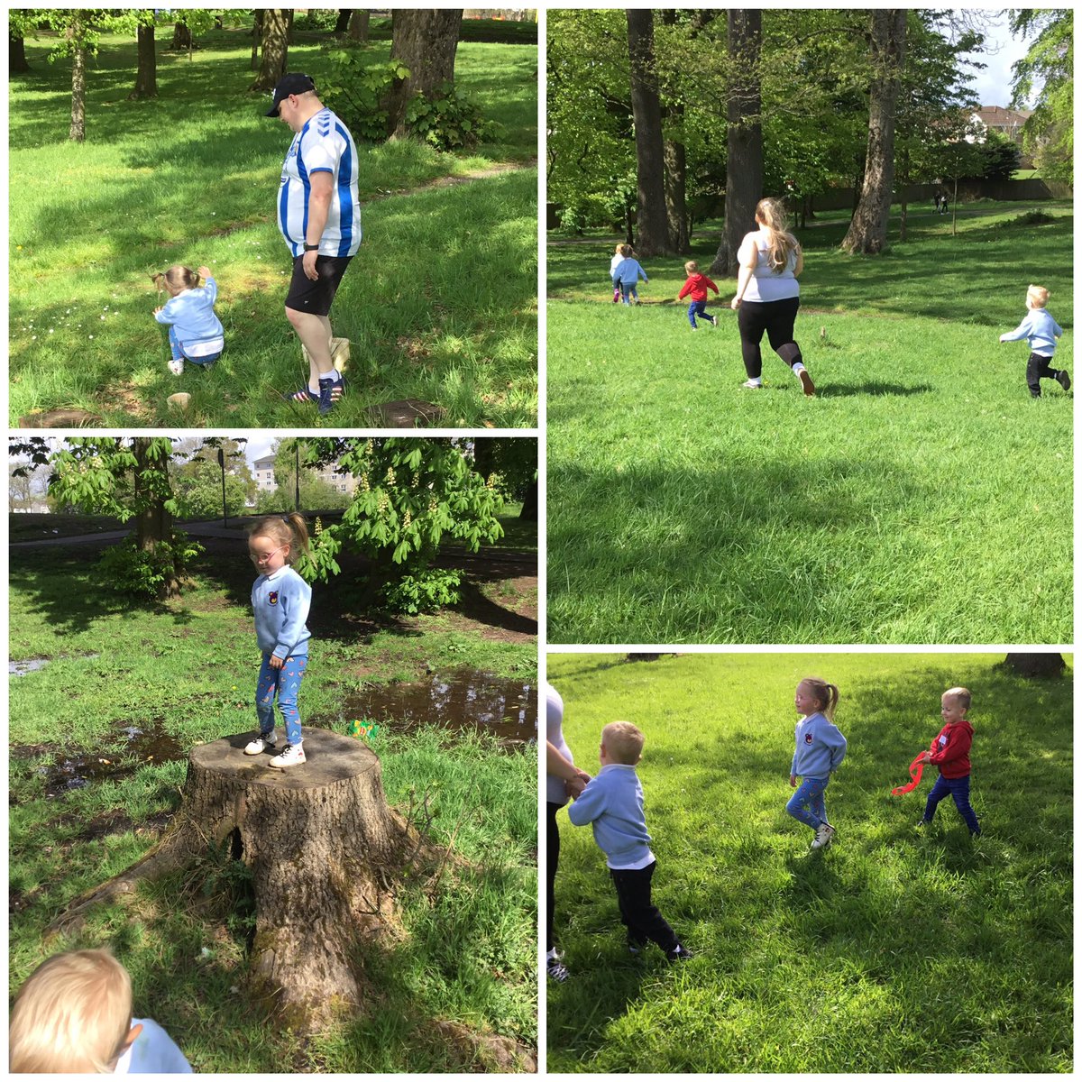 James Hamilton Early Childhood Centre tweet media