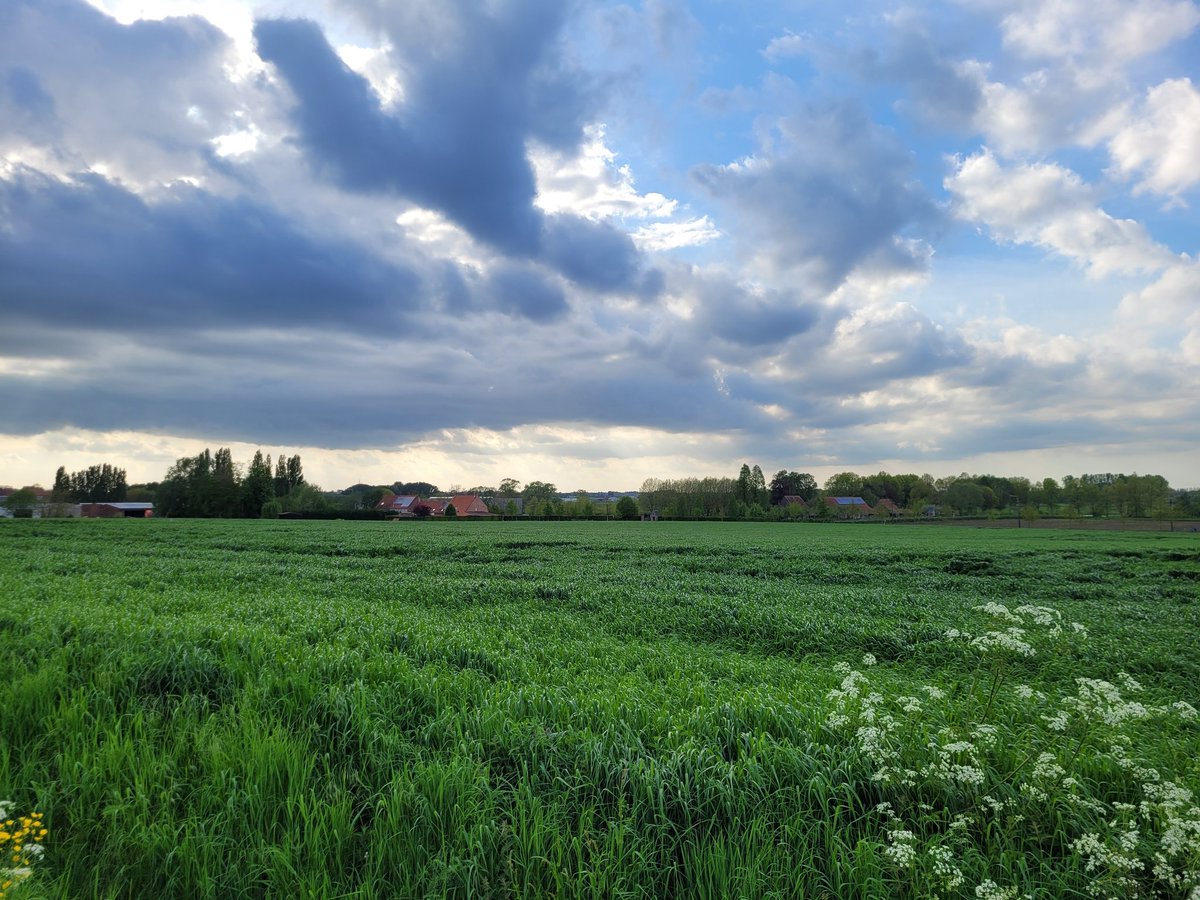 BekaertGregory's tweet photo. #vrtweer
Bekaert Gregory, Dadizele, 18u55 https://t.co/KOMiujK5g2
