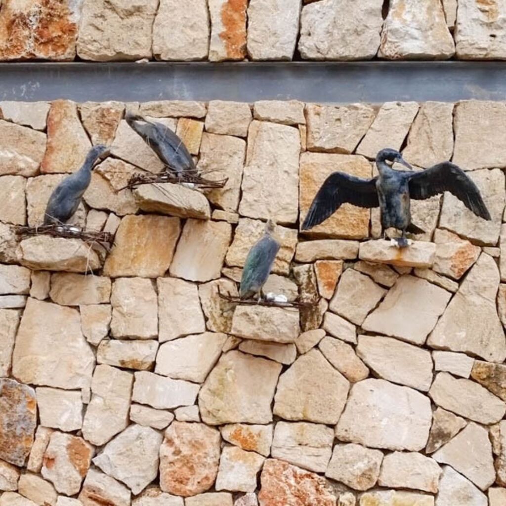 Das Aquarium in Colonia de Sant Jordi ist eigentlich nur ein Informationszentrum, das die Besucher auf einen Ausflug zur Insel Cabrera einstimmen soll. Unter anderen mit einem simulierten Tauchgang rund um das Archipel von Cabrera, in dem man sich – zu Fuß und ohne Taucherau…
