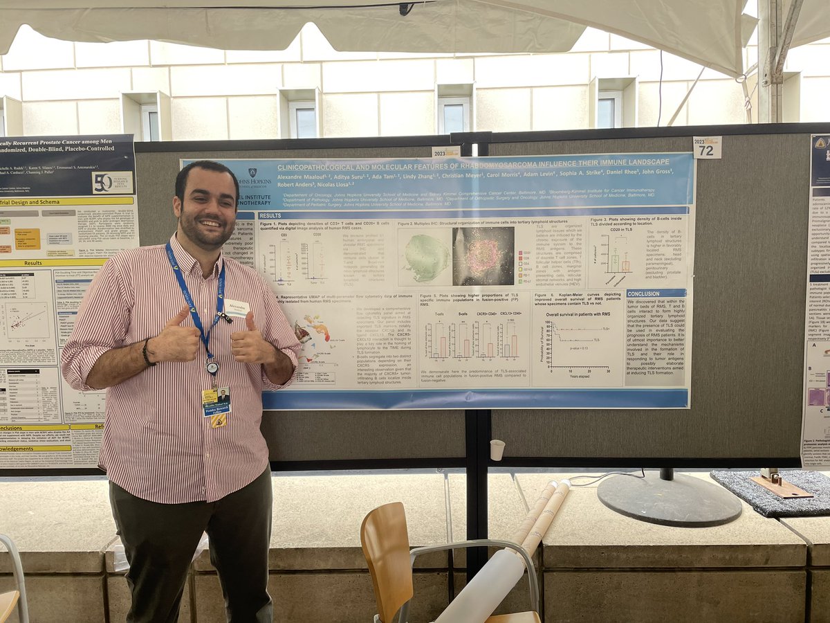 Lindy Zhang, MD PhD (@dr_lindyzhang) on Twitter photo <a href="/AlexMaalouf/">Alexandre Maalouf</a> loves to talk about the role of B cells and TLS in rhabdomyosarcoma! great poster!! #pediatricsarcoma <a href="/hopkinskimmel/">Johns Hopkins Kimmel Cancer Center</a> @bloombergkimmel <a href="/AlexMaalouf/">Alexandre Maalouf</a> loves to talk about the role of B cells and TLS in rhabdomyosarcoma! great poster!! #pediatricsarcoma <a href="/hopkinskimmel/">Johns Hopkins Kimmel Cancer Center</a> @bloombergkimmel