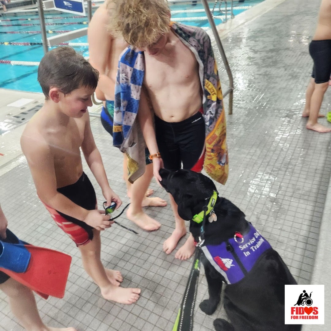 Look at who's making a big splash at the pool! Service puppy in training Duke is taking his training to a whole new level, quite literally! We're so proud of the progress he's making to become an amazing service dog who will make a huge difference in someone's life.