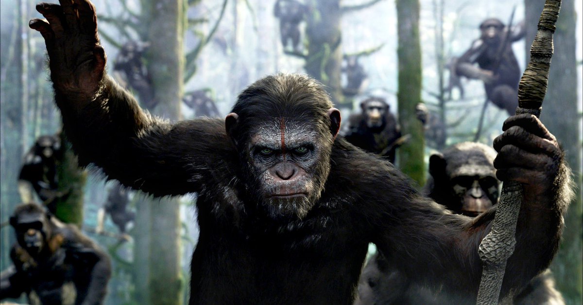 MONKE tweet media