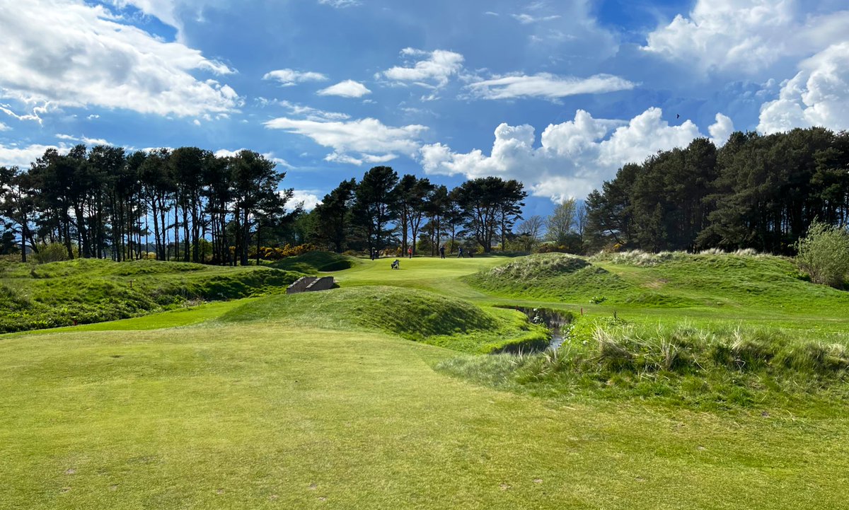 Jon Sherman tweet media