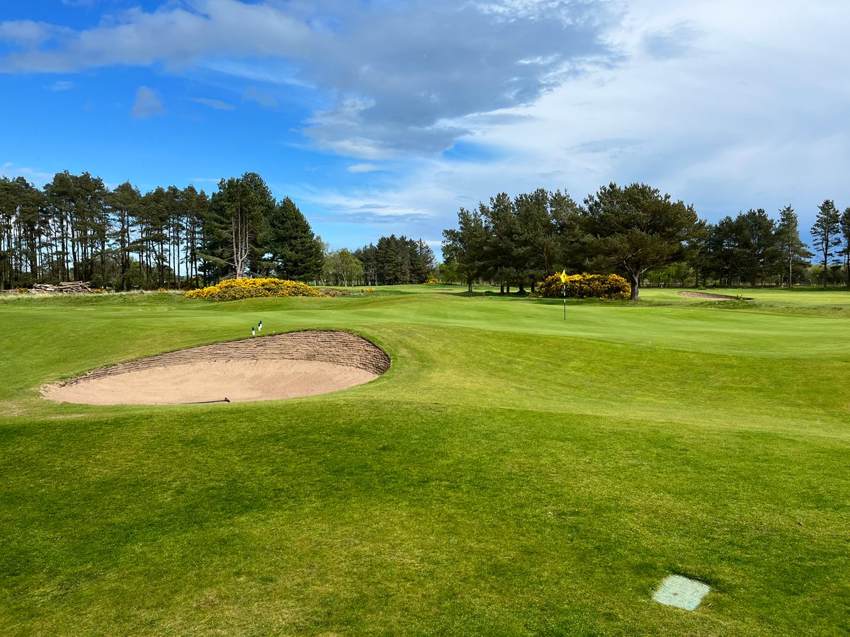 Jon Sherman tweet media