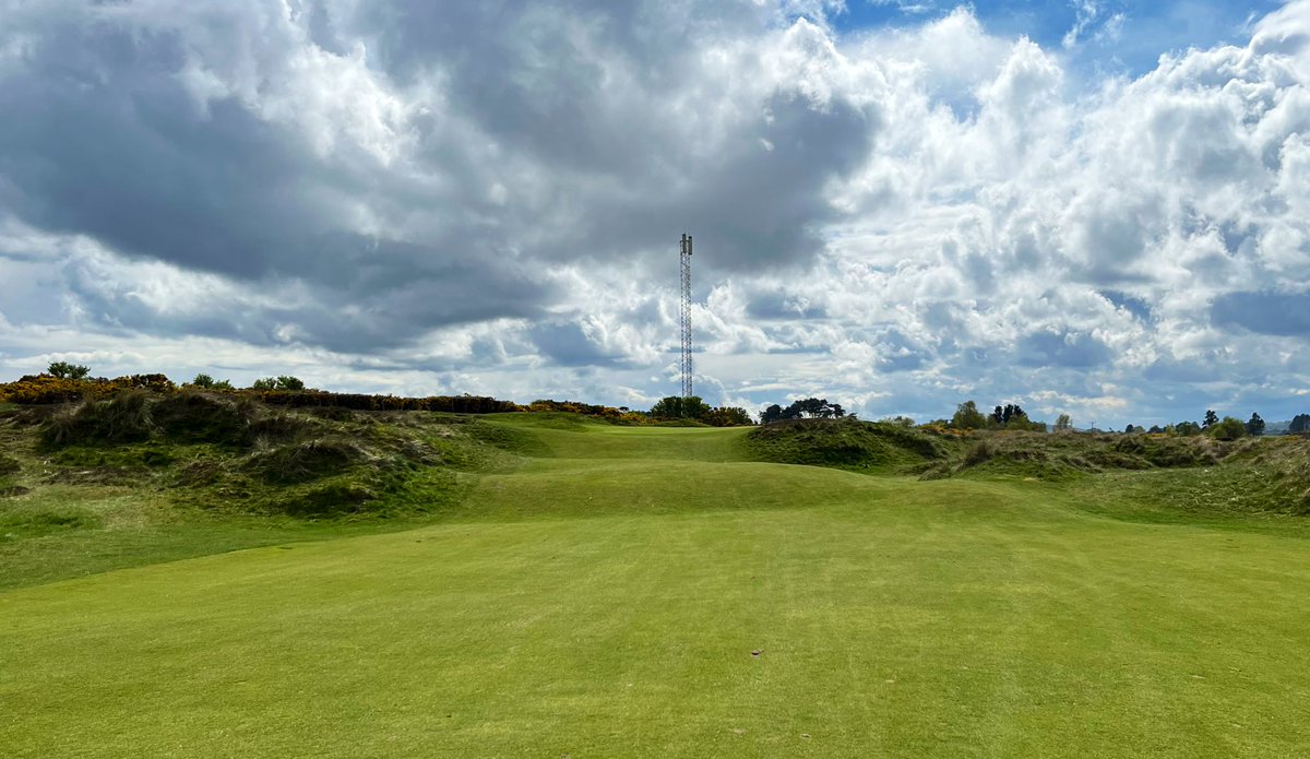 Jon Sherman tweet media