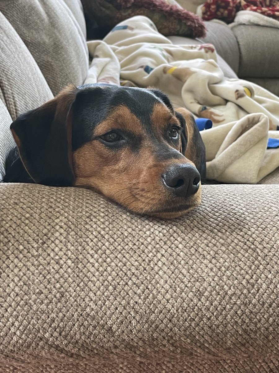 Jon Weik tweet media