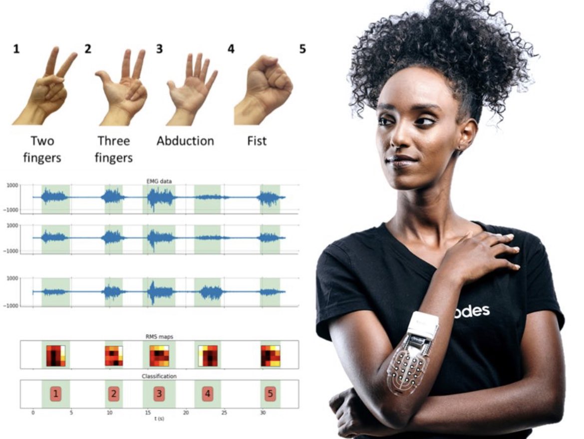 Yael Hanein tweet media