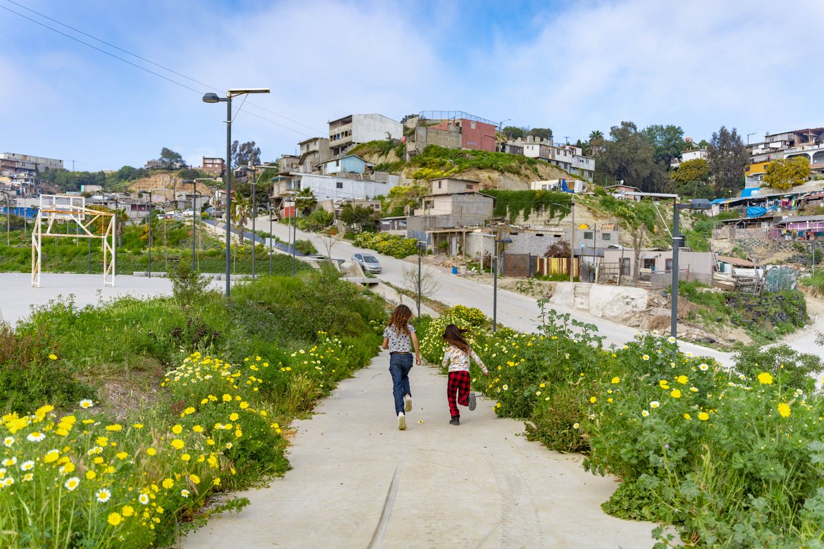 MeyerFalcon's tweet photo. El Parque Xicoténcatl que construimos en Tijuana ganó el premio holandés Make it Circular Challenge 🇳🇱

Se reconoce su diseño innovador para reducir el impacto en el cambio climático.

Se plantaron 3 mil especies 🌳. Va nota de @eleconomista 👇
https://t.co/LAdcjD00ip https://t.co/XgEmIP2eAK