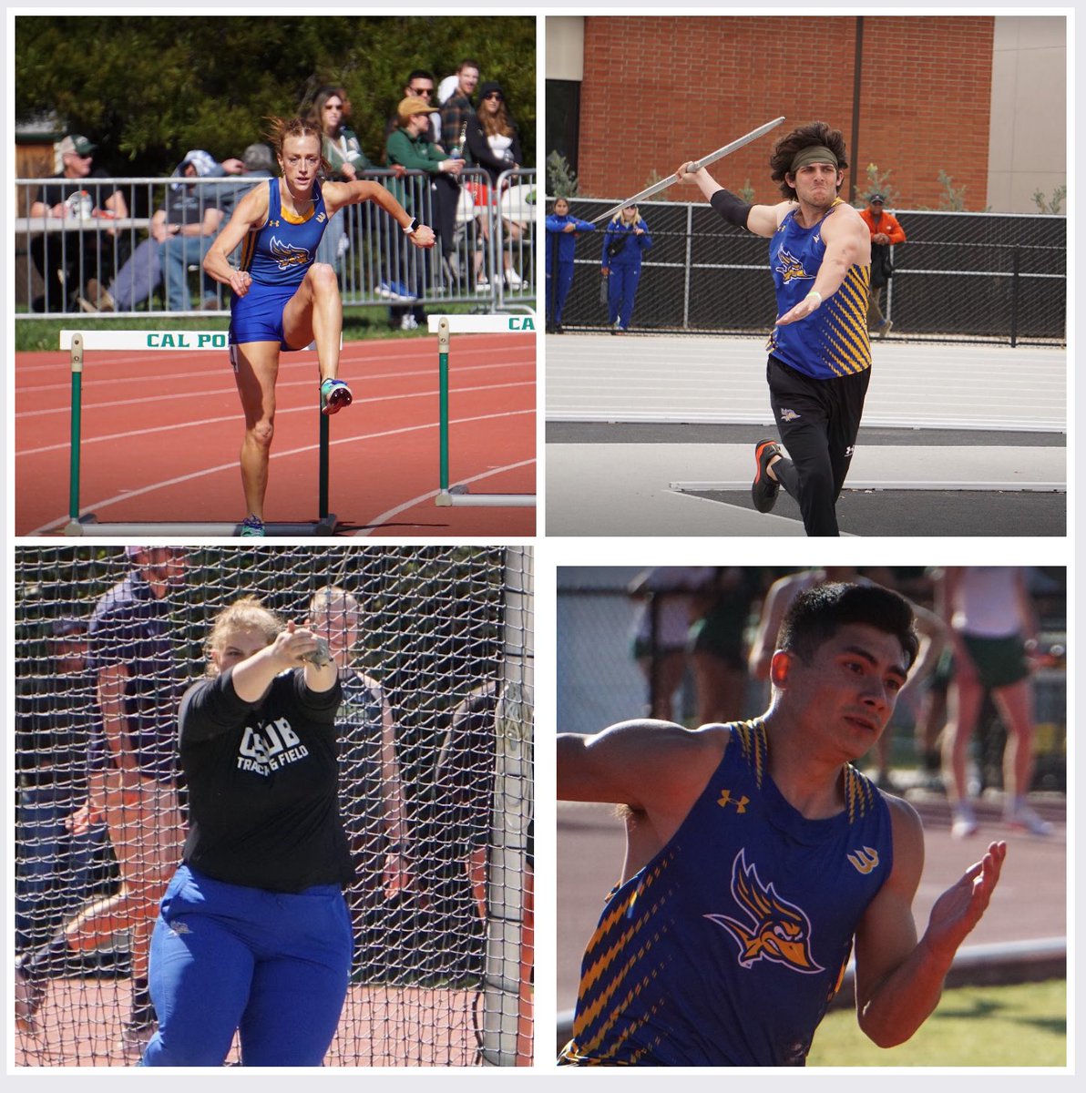 <a href="/csub_tf_xc/">CSUB TF/XC</a> Riley, Evan, Kayla and JJ will compete in their final Conference Championships this week.  All will leave a legacy. 
💙💛🎽💪 Very proud to have been part of their journey.