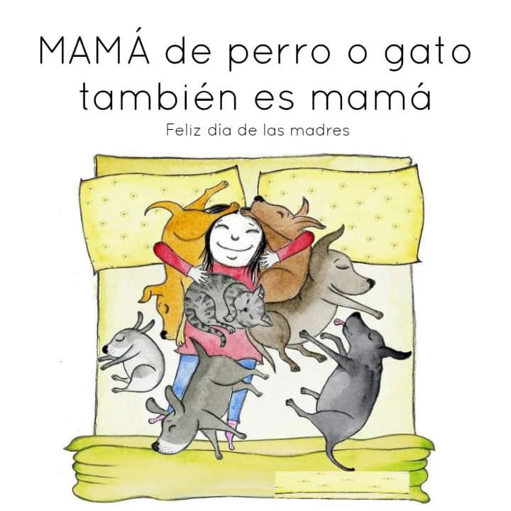 @RomaPets tweet media