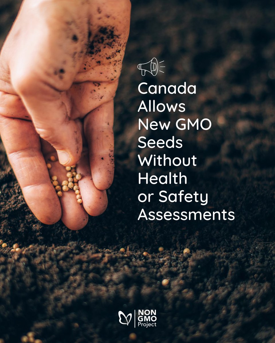 NonGMO Project on Twitter "In a disappointing decision, Canada