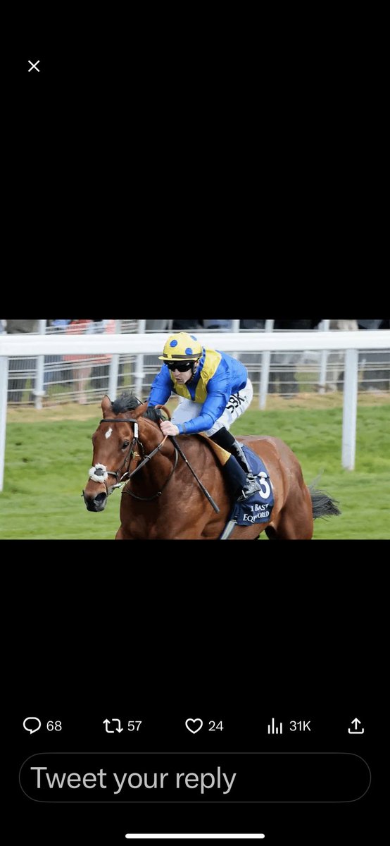 PetejwalkerP's tweet photo. @RacingTV @yorkracecourse https://t.co/XU8L0yPlpJ