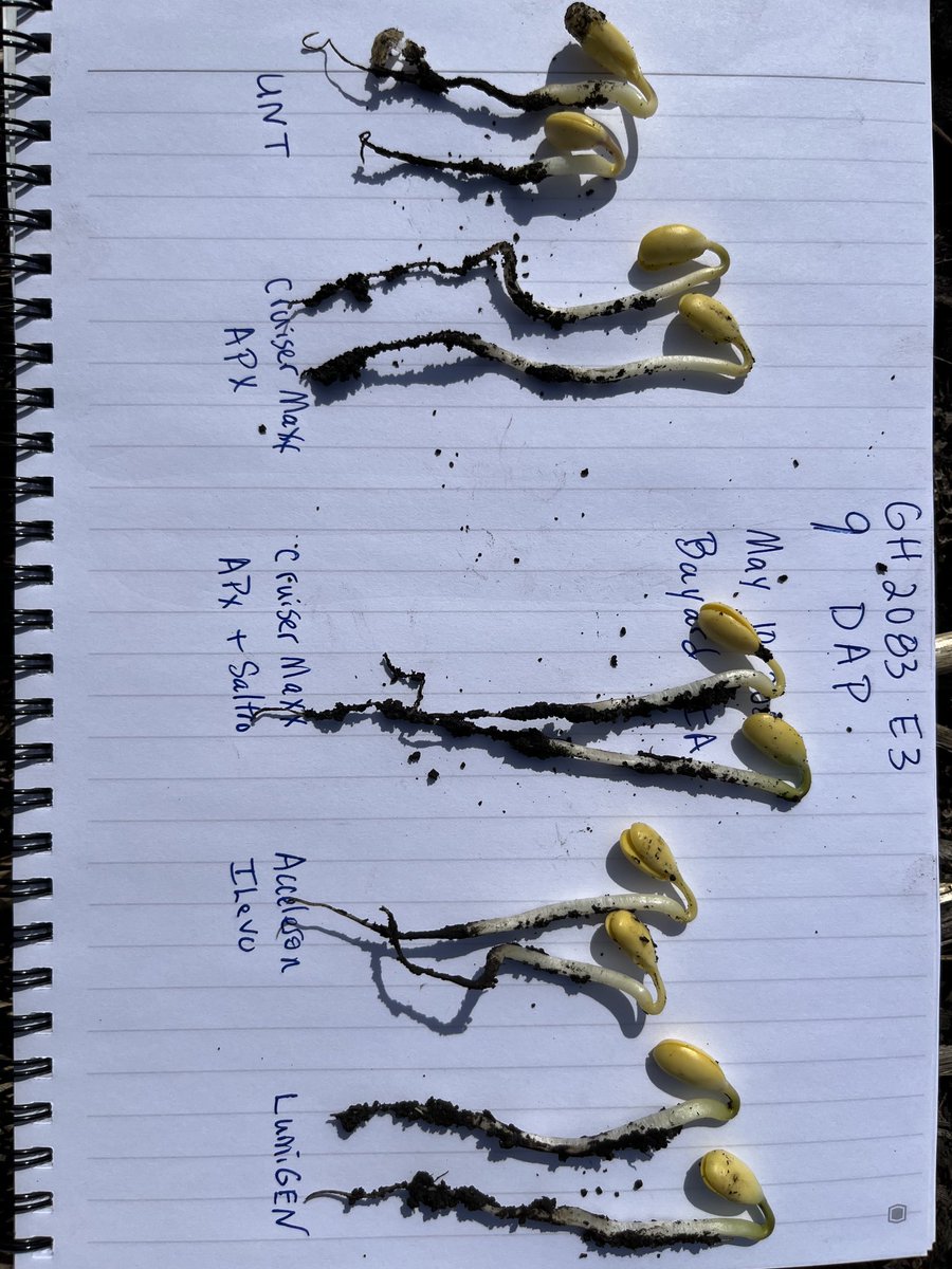 #plant23 naked beans? I’ll go with improved vigor, disease protection and emergence.