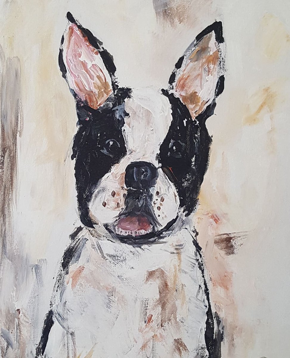 Marina Po tweet media