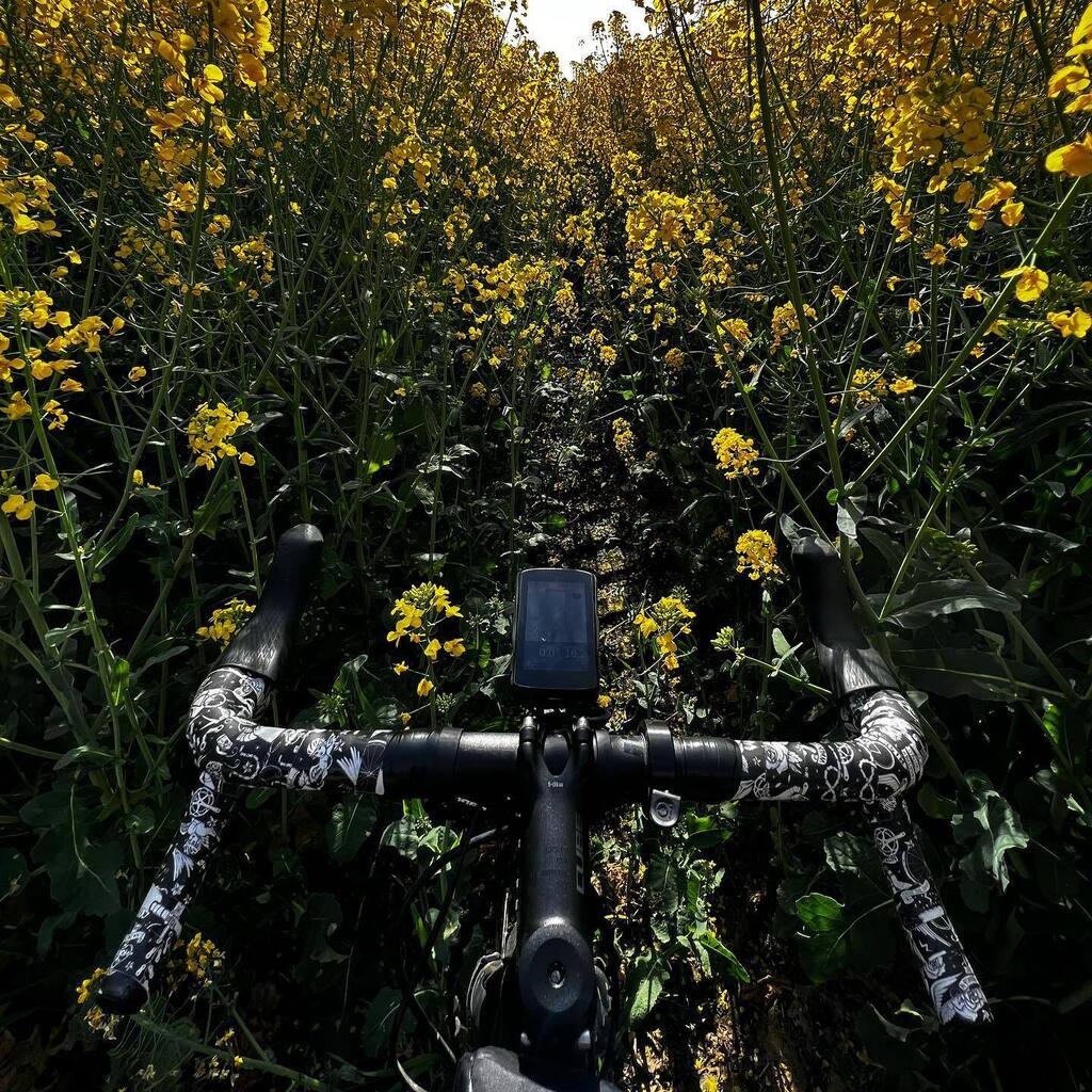 Mai bist du schön 🥰 
Endlich wieder kurze Bibs ohne Zweifel
Endlich frisches Grün und Hohes Gelb
Endlich macht Eis essen wieder Spaß 
Endlich neue Wege erkunden
Endlich kaum erwarten raus zu gehen
Endlich „Frühlingsgefühle“ auch bei Tieren 😉
und was … instagr.am/p/CsEgZDsMicY/