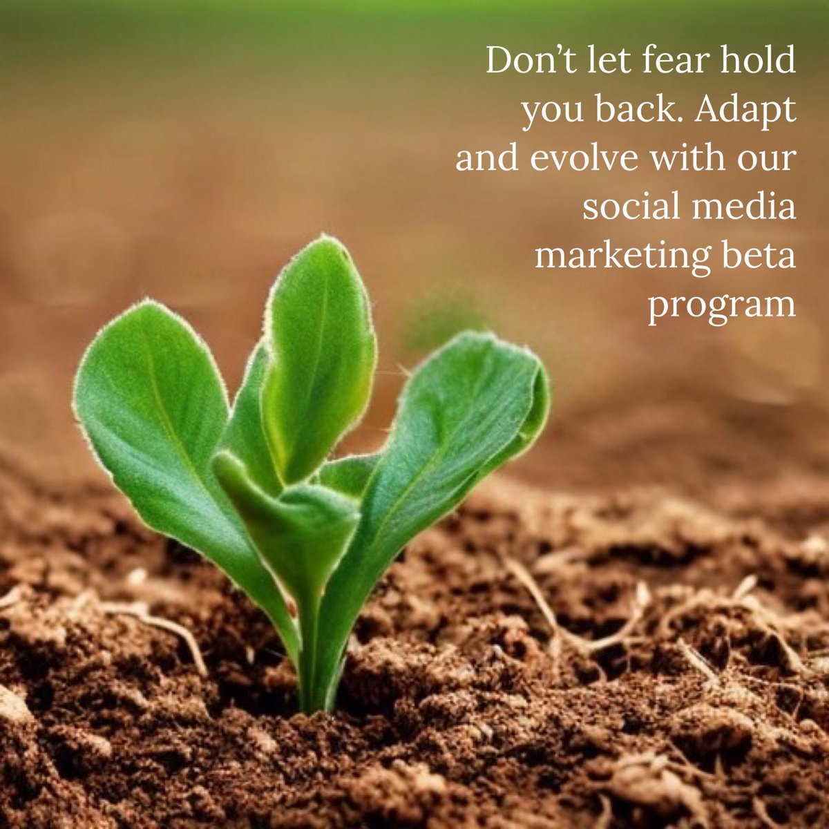 Don't let the fear of change hold you back on social media. Learn how to adapt and evolve with the ever-changing digital landscape through our social media marketing beta program. #adaptability #socialmediamarketing