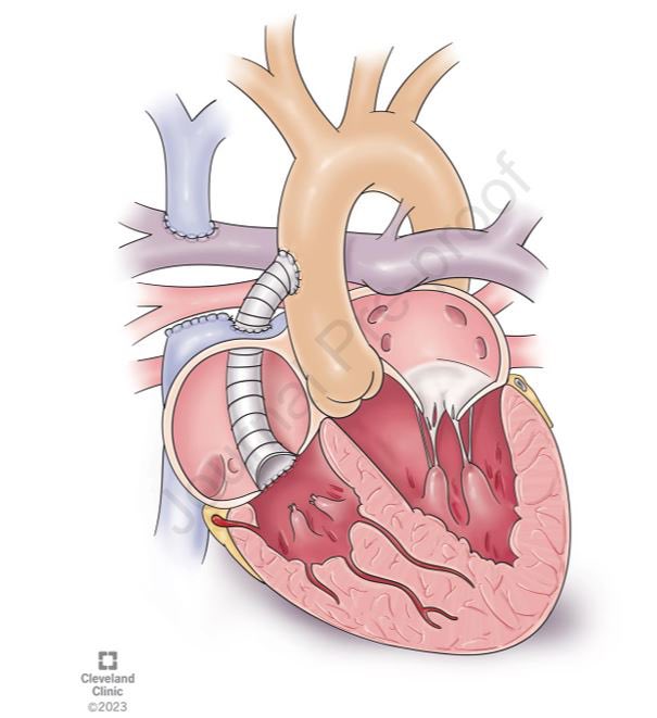 Shahnawaz Amdani tweet media